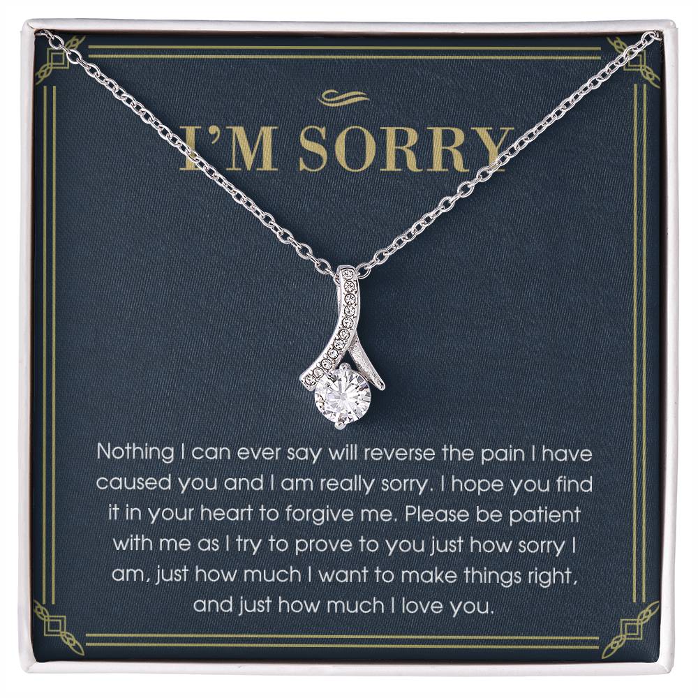 I'm Sorry Gift For Her, Apology Gift, Please Forgive Me Gift, I'm Sorry Necklace