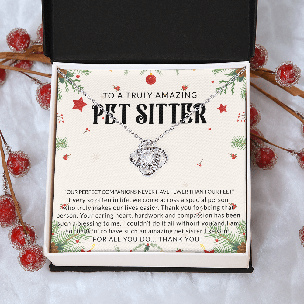 To A Truly Amazing Pet Sitter Love Knot Necklace, Dog Sitter Thank You Gift Necklace, Cat Sitter Thank You Gift, Christmas Present for Pet Dog Sitter Appreciation Gift Necklace for Dog Sitter