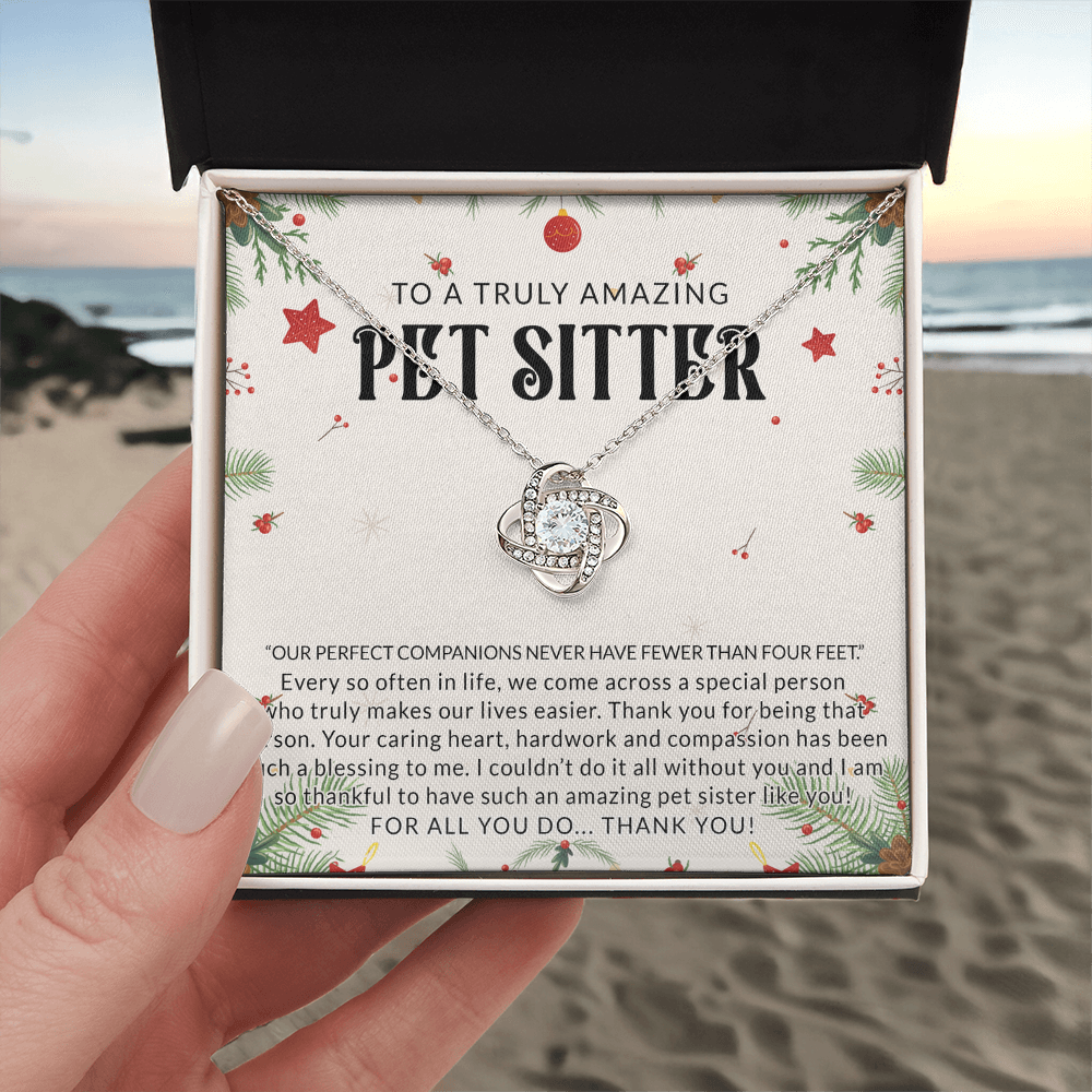 To A Truly Amazing Pet Sitter Love Knot Necklace, Dog Sitter Thank You Gift Necklace, Cat Sitter Thank You Gift, Christmas Present for Pet Dog Sitter Appreciation Gift Necklace for Dog Sitter