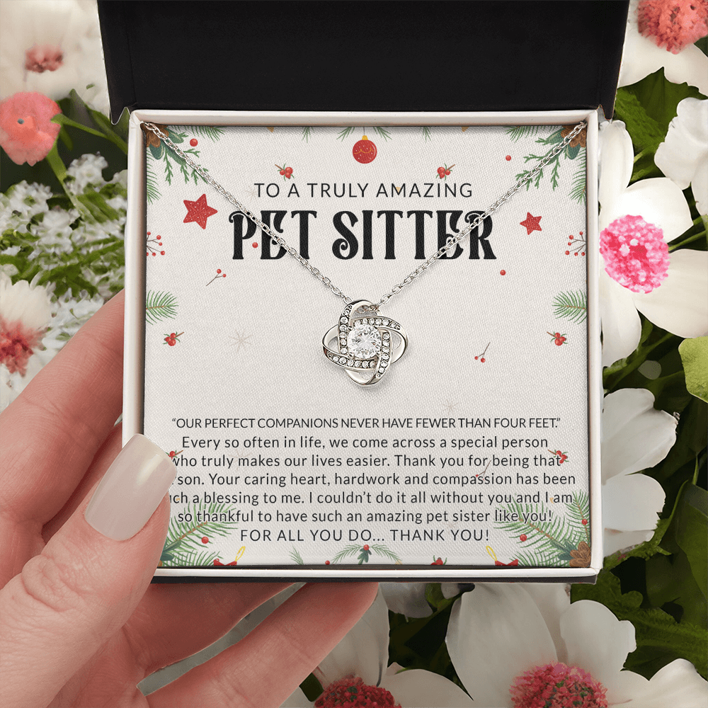 To A Truly Amazing Pet Sitter Love Knot Necklace, Dog Sitter Thank You Gift Necklace, Cat Sitter Thank You Gift, Christmas Present for Pet Dog Sitter Appreciation Gift Necklace for Dog Sitter