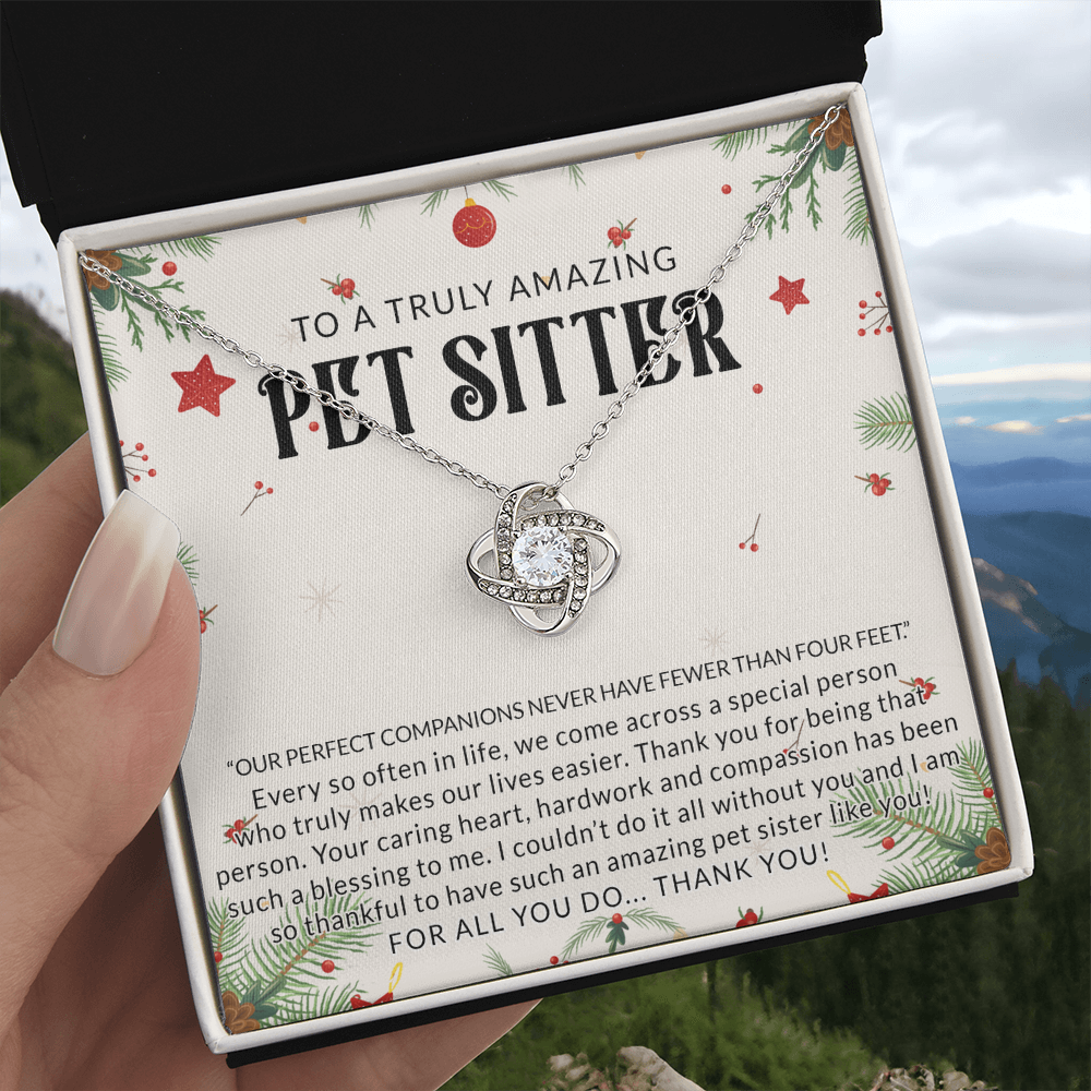 To A Truly Amazing Pet Sitter Love Knot Necklace, Dog Sitter Thank You Gift Necklace, Cat Sitter Thank You Gift, Christmas Present for Pet Dog Sitter Appreciation Gift Necklace for Dog Sitter