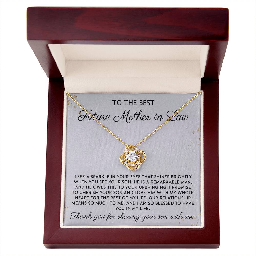 Future Mother In Law Necklace, To The Best Future Mother In Law Necklace From Son, Mother of the Groom Gift Necklace From Bride Wedding Gift Love Knot Pendants from Bride, Jewelry Gift For Women