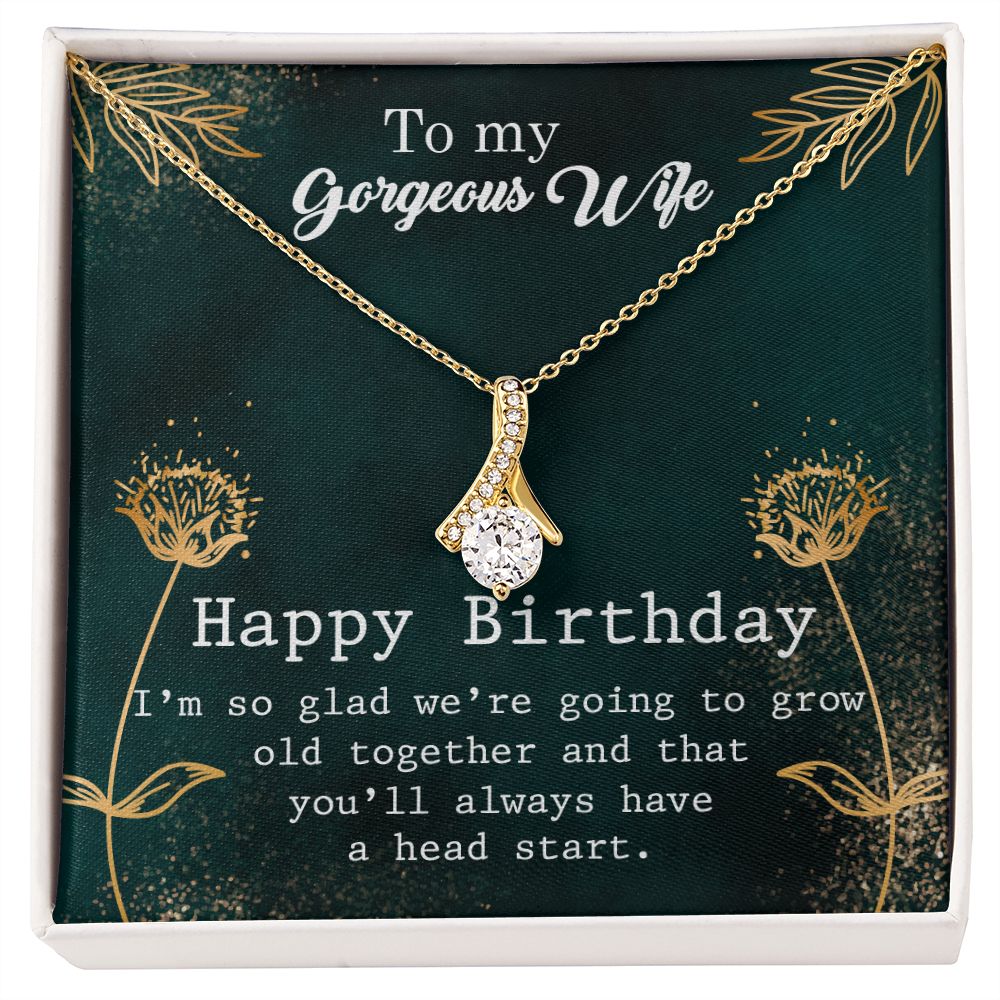 To My Gorgeous Wife Necklace Pendant Gift From Husbnd Habby Birthday A Head Start With Message Card and Gift Box. Valentine's Day Gift For Wife Future Wife Alluring Beauty Necklace