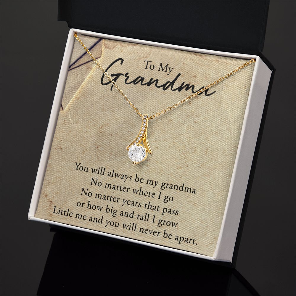 To My Grandma Necklace, Gift for Grandmother Necklace, Mothers Day Gift For Grandma Nana, Grandma Jewelry From Grandchildren GrandKids , Jewelry Box Gift For Grandma Grandmother5 Alluring Beauty Necklace
