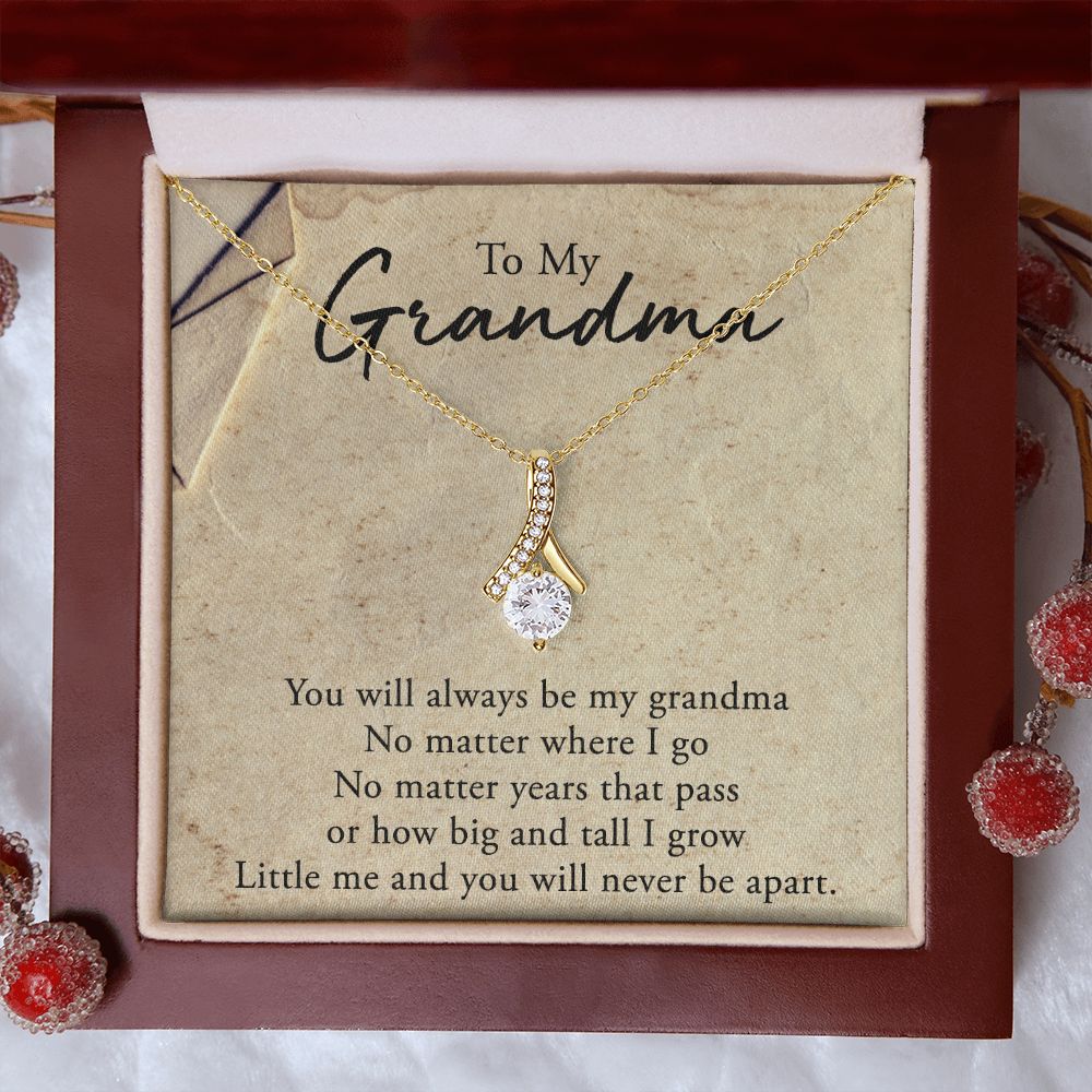 To My Grandma Necklace, Gift for Grandmother Necklace, Mothers Day Gift For Grandma Nana, Grandma Jewelry From Grandchildren GrandKids , Jewelry Box Gift For Grandma Grandmother5 Alluring Beauty Necklace