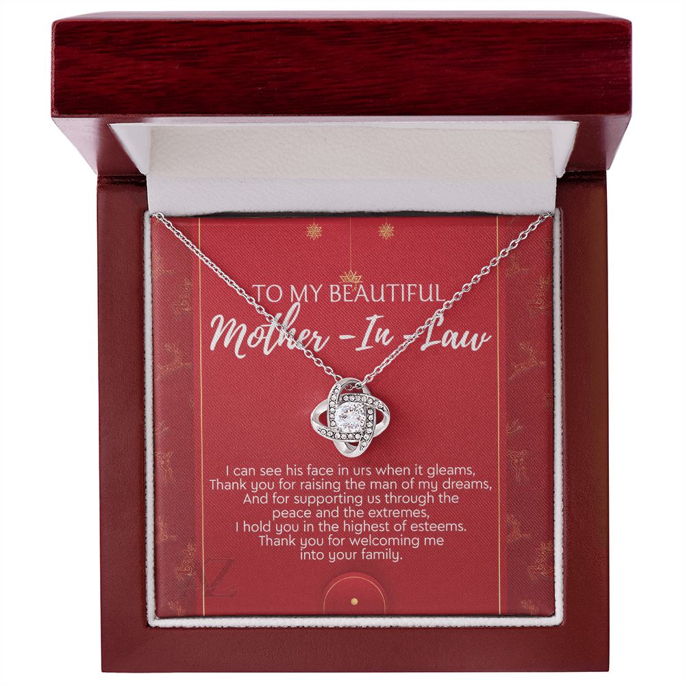 Christmas Gift for Mother in Law Present, Mother in Law Necklace, Jewelry for Boyfriend's Mom, Mother of Boyfriend Xmas Gift, Gift Idea for Mother in Law, Husband's Mom 371