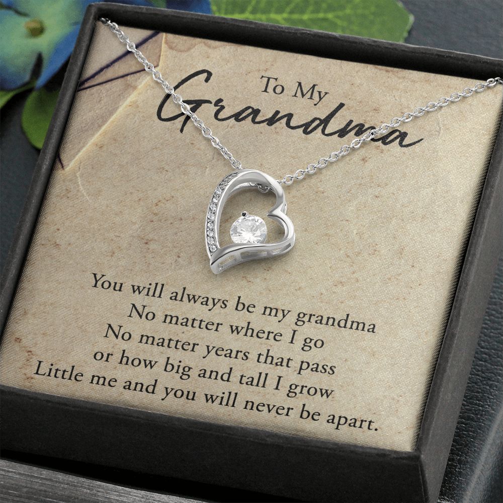 To My Grandma Necklace, Gift for Grandmother Necklace, Mothers Day Gift For Grandma Nana, Grandma Jewelry From Grandchildren GrandKids , Jewelry Box Gift For Grandma Grandmother5 Forever Love Necklace