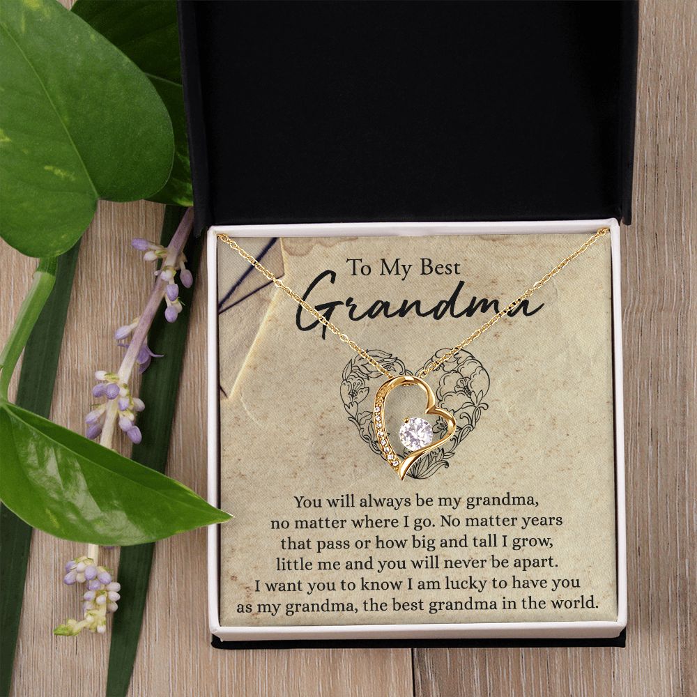 To My Grandma Necklace, Gift for Grandmother Necklace, Mothers Day Gift For Grandma Nana, Grandma Jewelry From Grandchildren GrandKids , Jewelry Box Gift For Grandma Grandmother6 Forever Love Necklace