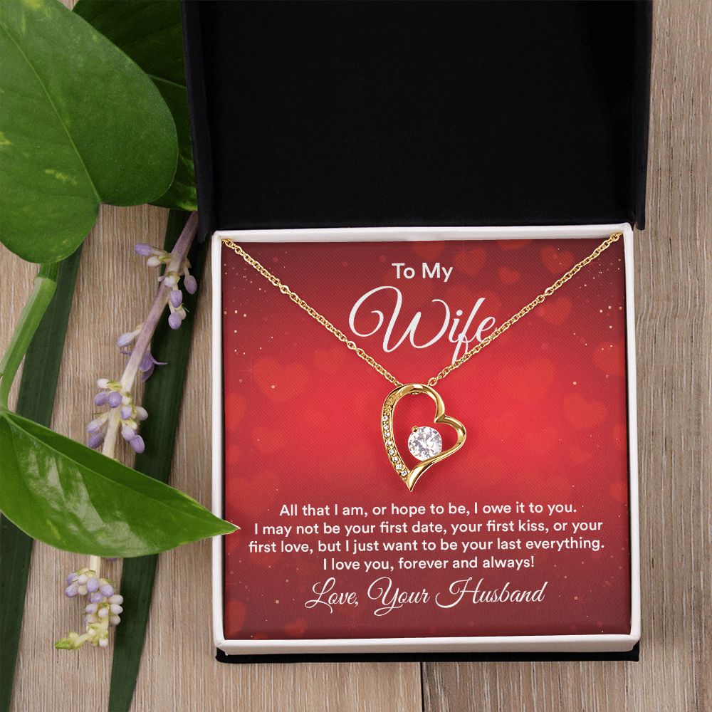 Birthday Gifts For Wife, Necklace Gifts For Wife From Husband, To My Wife Jewelry For Women , To My Wife Necklace  from Husband Wedding Anniversary Present For Wife, Beautiful Wife Jewelry Christmas30 Forever Love Necklace