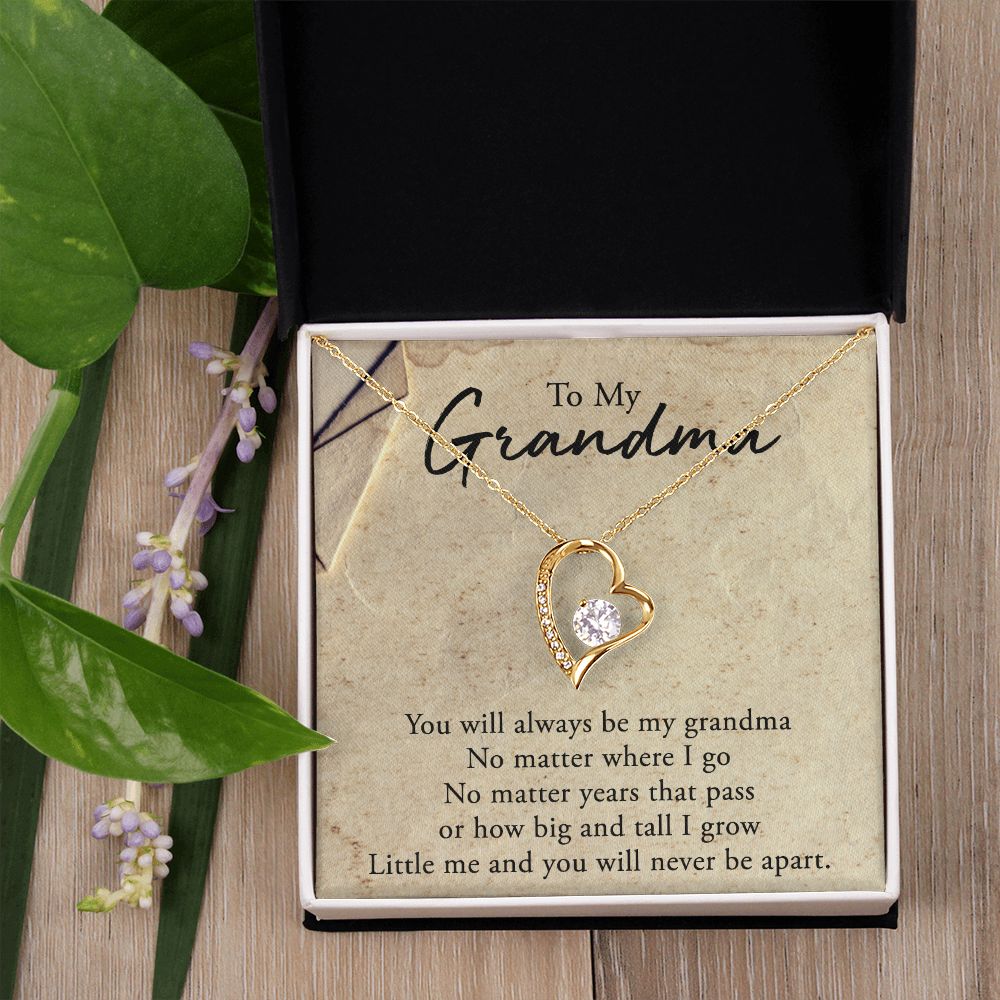 To My Grandma Necklace, Gift for Grandmother Necklace, Mothers Day Gift For Grandma Nana, Grandma Jewelry From Grandchildren GrandKids , Jewelry Box Gift For Grandma Grandmother5 Forever Love Necklace