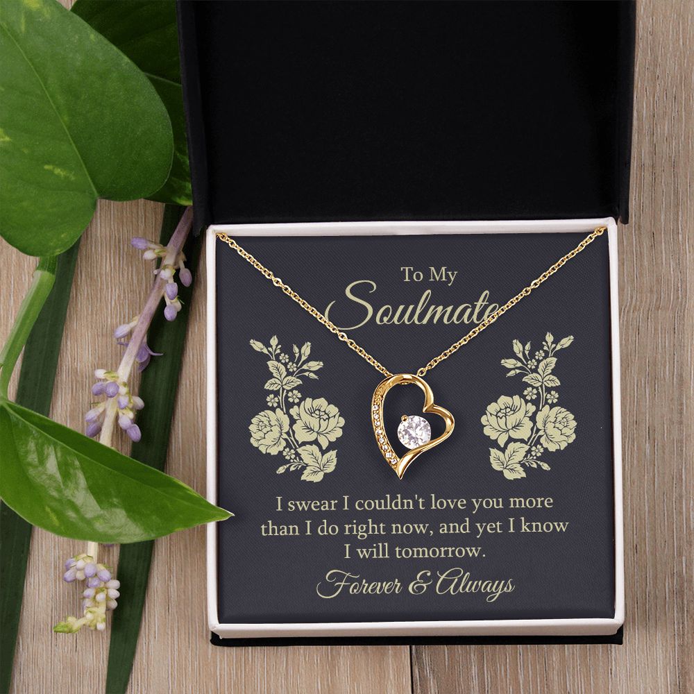 To my soulmate - I swear I couldn't love you Forever Love Necklace