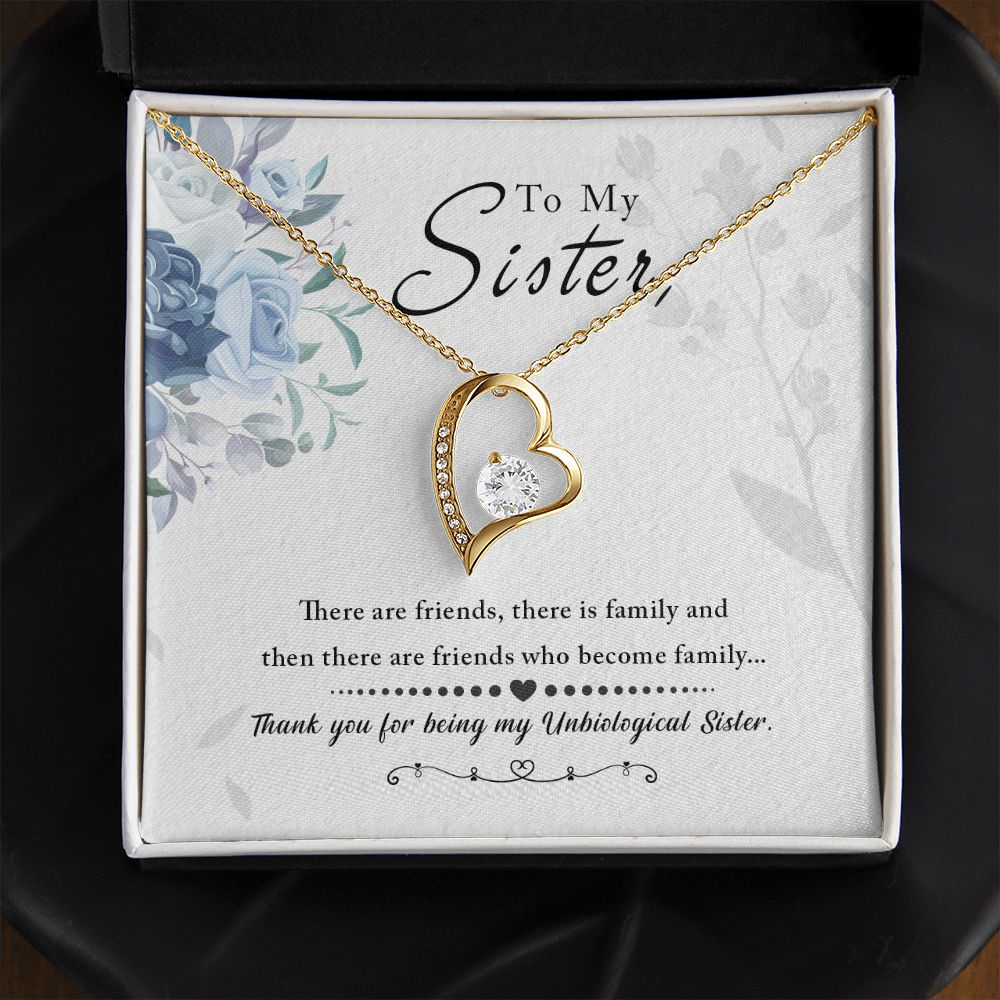 Unbiological Sister - Friends who become family Forever Love Necklace