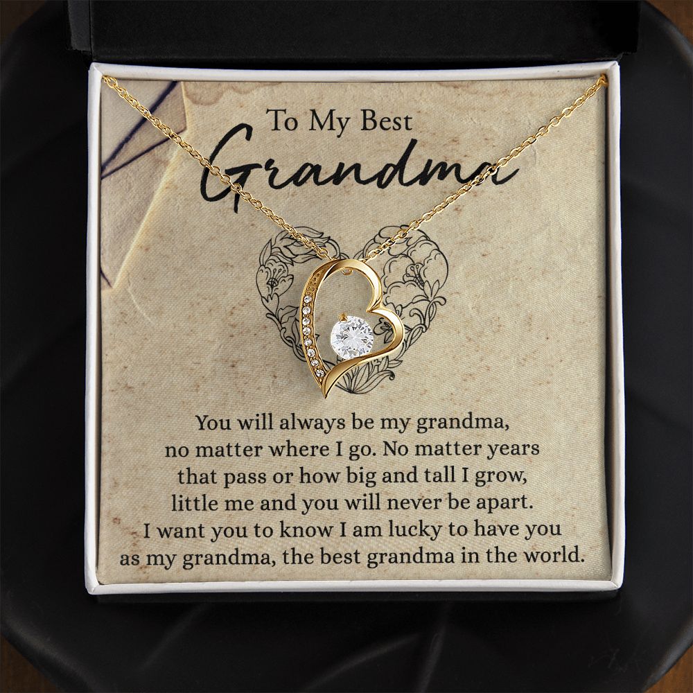 To My Grandma Necklace, Gift for Grandmother Necklace, Mothers Day Gift For Grandma Nana, Grandma Jewelry From Grandchildren GrandKids , Jewelry Box Gift For Grandma Grandmother6 Forever Love Necklace