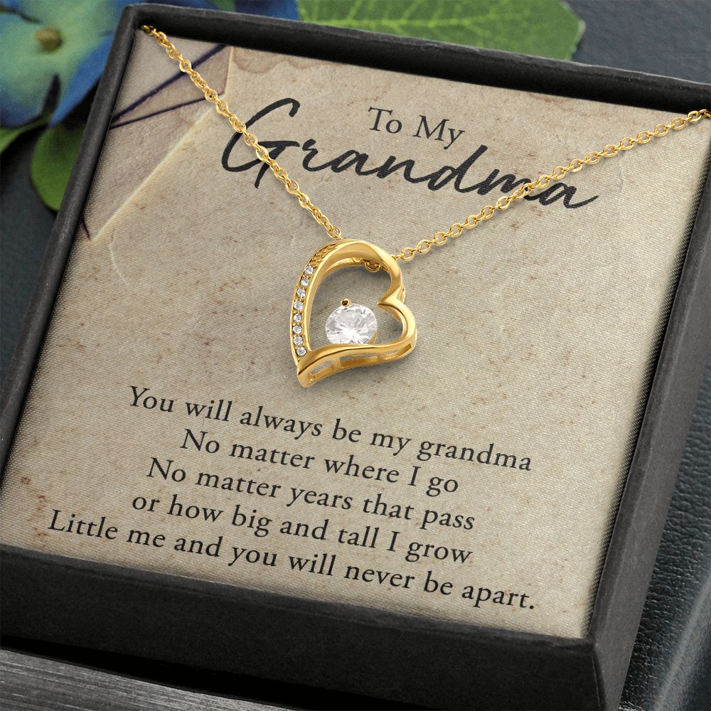 To My Grandma Necklace, Gift for Grandmother Necklace, Mothers Day Gift For Grandma Nana, Grandma Jewelry From Grandchildren GrandKids , Jewelry Box Gift For Grandma Grandmother5 Forever Love Necklace