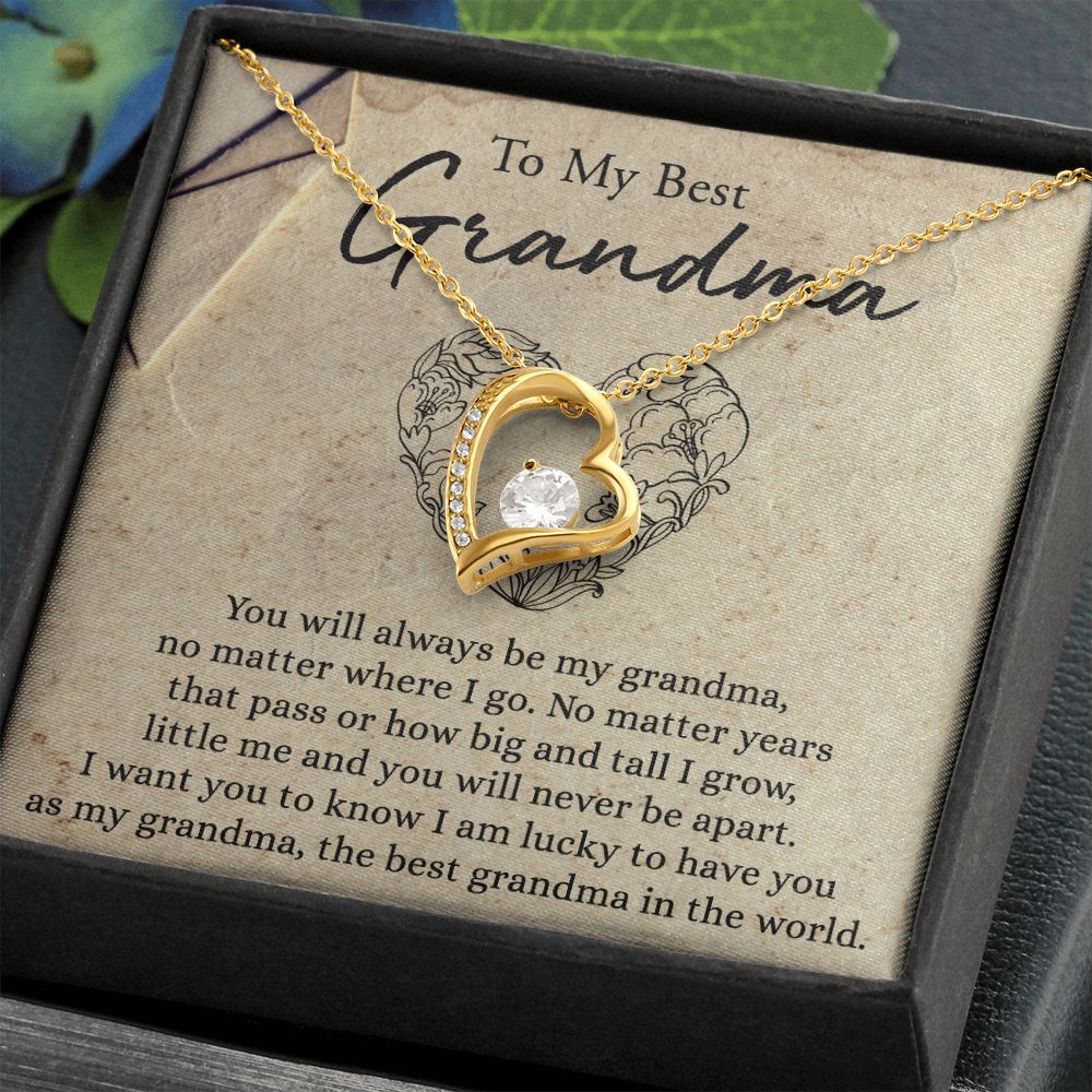 To My Grandma Necklace, Gift for Grandmother Necklace, Mothers Day Gift For Grandma Nana, Grandma Jewelry From Grandchildren GrandKids , Jewelry Box Gift For Grandma Grandmother6 Forever Love Necklace