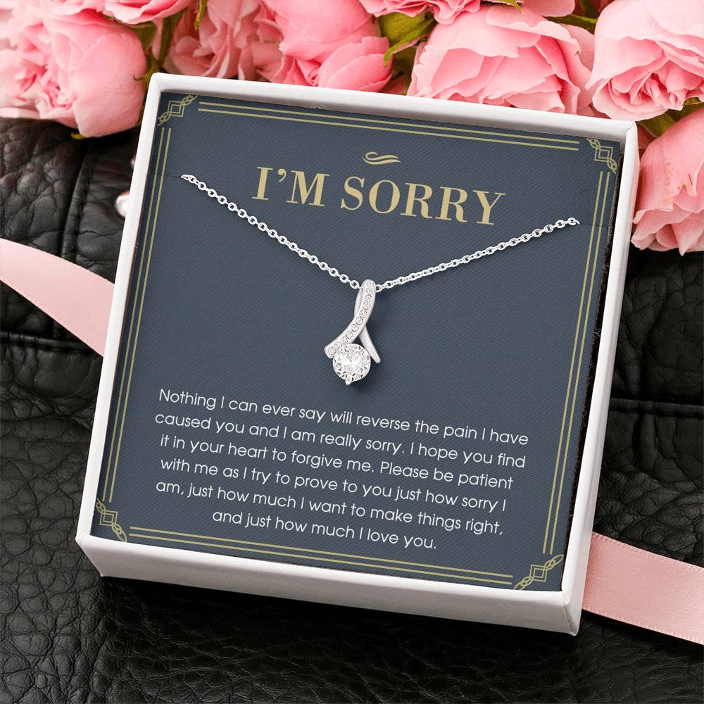 I'm Sorry Gift For Her, Apology Gift, Please Forgive Me Gift, I'm Sorry Necklace