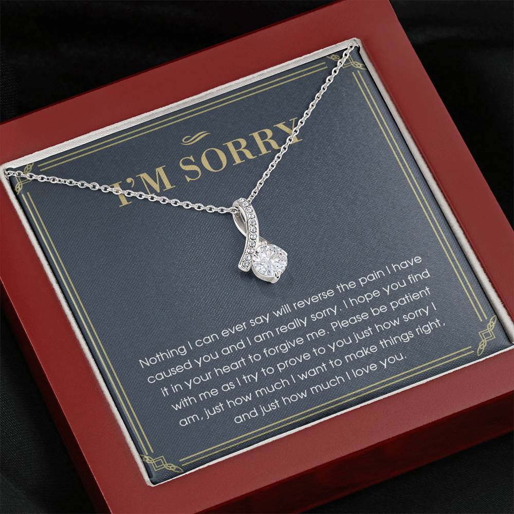 I'm Sorry Gift For Her, Apology Gift, Please Forgive Me Gift, I'm Sorry Necklace